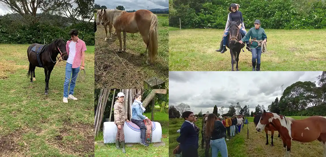 Rehabilitación con equinoterapia