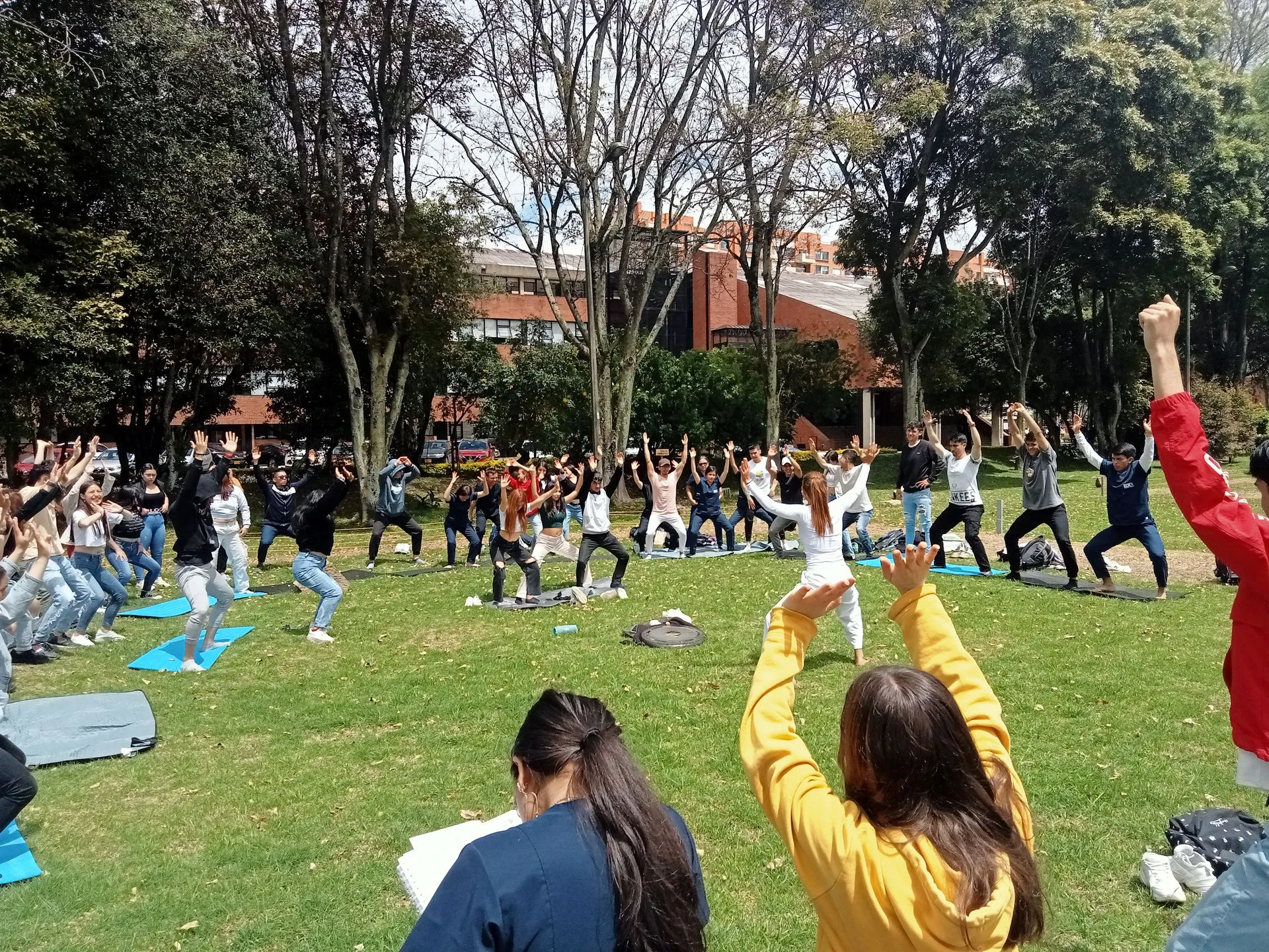 Bienestar para todos