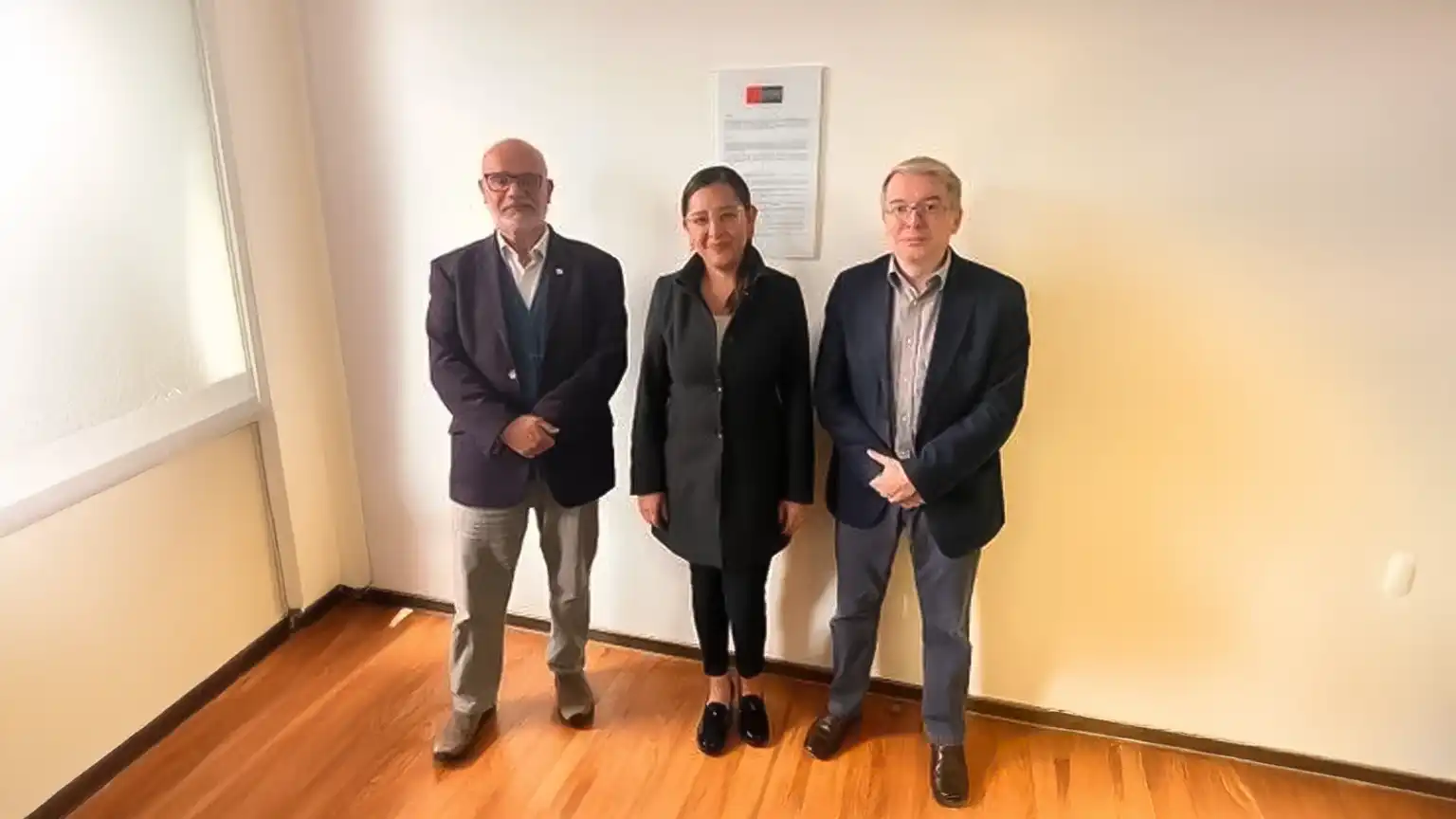 Fonoaudiología internacional