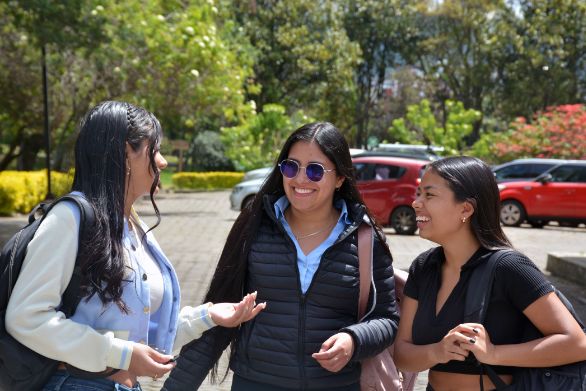 Enmascarar grupo 489 Enmascarar grupo 489 2